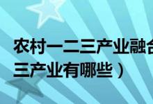 農(nóng)村一二三產(chǎn)業(yè)融合發(fā)展試點(diǎn)項(xiàng)目(農(nóng)村一二三產(chǎn)業(yè)有哪些)