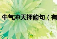 牛氣沖天押韻句（有關(guān)牛氣沖天押韻句范例）