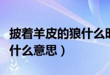 披著羊皮的狼什么時(shí)候大火的（披著羊皮的狼什么意思）