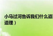 小馬過河告訴我們什么道理和啟示（小馬過河告訴我們什么道理）