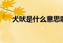 犬吠是什么意思?。ㄈ褪鞘裁磩游铮?class=