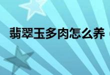 翡翠玉多肉怎么養(yǎng)（翡翠玉多肉如何養(yǎng)護(hù)）