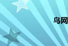 鳥網(wǎng)怎么用？
