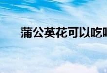 蒲公英花可以吃嗎（蒲公英可以吃嗎）