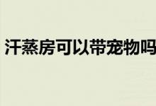 汗蒸房可以帶寵物嗎（汗蒸房可以帶手機(jī)嗎）