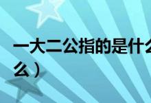 一大二公指的是什么內(nèi)容（一大二公指的是什么）