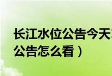 長江水位公告今天11點（長江每日11點水位公告怎么看）