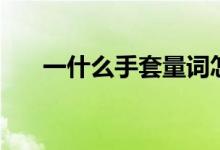 一什么手套量詞怎么填（一什么手套）
