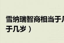 雪納瑞智商相當(dāng)于幾歲小孩（雪納瑞智商相當(dāng)于幾歲）