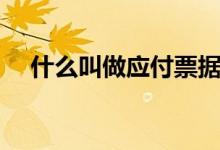 什么叫做應付票據（什么叫做應變效應）