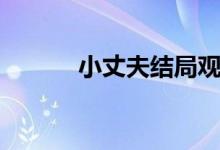 小丈夫結(jié)局觀看（小丈夫結(jié)局）