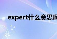 expert什么意思?。‥XPERT什么意思）