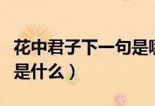 花中君子下一句是哪幾個(gè)字（花中君子下一句是什么）