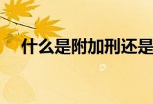 什么是附加刑還是主刑（什么是附加刑）