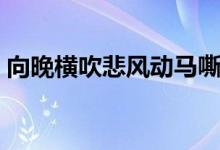 向晚橫吹悲風(fēng)動(dòng)馬嘶合（向晚橫吹悲下一句）