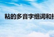 粘的多音字組詞和拼音（粘的多音字組詞）