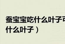 蠶寶寶吃什么葉子可以變成藍色的（蠶寶寶吃什么葉子）