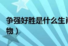 爭(zhēng)強(qiáng)好勝是什么生肖（爭(zhēng)強(qiáng)好勝是什么生肖動(dòng)物）