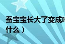 蠶寶寶長大了變成啥樣子（蠶寶寶長大了變成什么）