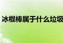 冰棍棒屬于什么垃圾（冰棍棒屬于什么垃圾）