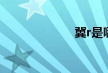 冀r是哪里的車牌