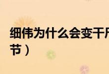 細(xì)偉為什么會變干尸（有沒有人注意到這個細(xì)節(jié)）