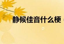 靜候佳音什么梗（靜候佳音什么意思）