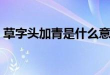 草字頭加青是什么意思（草字頭加青什么字）