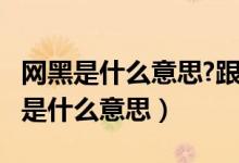 網黑是什么意思?跟黑戶又有什么區(qū)別?（網黑是什么意思）