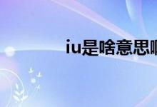 iu是啥意思?。╥u是啥意思）