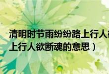 清明時(shí)節(jié)雨紛紛路上行人欲斷魂的詩(shī)名（清明時(shí)節(jié)雨紛紛路上行人欲斷魂的意思）