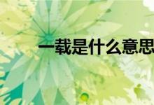 一載是什么意思呢(一載是多少年)