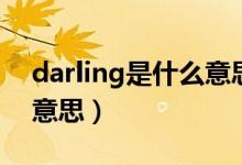 darling是什么意思中文（英語darling什么意思）