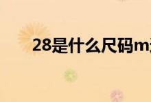 28是什么尺碼m還是l（28是什么梗）
