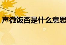 聲微飯否是什么意思（聲微飯否是什么意思）