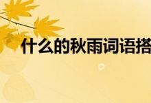 什么的秋雨詞語(yǔ)搭配填空（什么的秋雨）