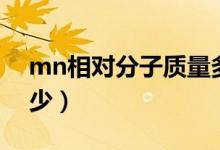 mn相對分子質(zhì)量多少（mn相對分子質(zhì)量多少）