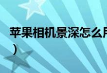 蘋果相機景深怎么用（蘋果深景效果如何運用）