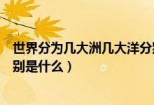 世界分為幾大洲幾大洋分別在哪（世界分為幾大洲幾大洋分別是什么）