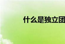 什么是獨立團（什么是獨贏盤）
