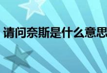 請(qǐng)問(wèn)奈斯是什么意思（網(wǎng)上奈斯是什么意思）