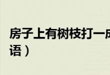 房子上有樹枝打一成語（房子上有樹枝打一成語）