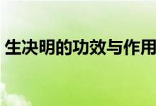 生決明的功效與作用禁忌（這里有詳細(xì)介紹）
