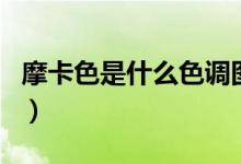 摩卡色是什么色調(diào)圖片（摩卡色是什么樣子的）