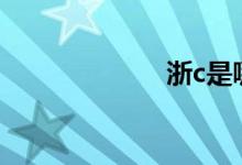 浙c是哪里的車牌