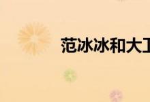 范冰冰和大衛(wèi)的電影有哪些？