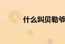 什么叫貝勒爺（什么叫貝勒爺）