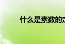 什么是素?cái)?shù)的定義（什么是素?cái)?shù)）