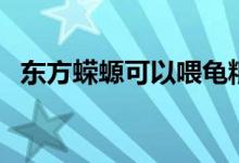 東方蠑螈可以喂龜糧嗎（東方蠑螈吃什么）