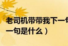 老司機(jī)帶帶我下一句怎么說（老司機(jī)帶帶我下一句是什么）